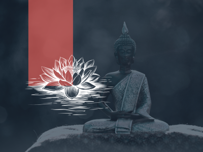 Noget der ligner the white lotus 