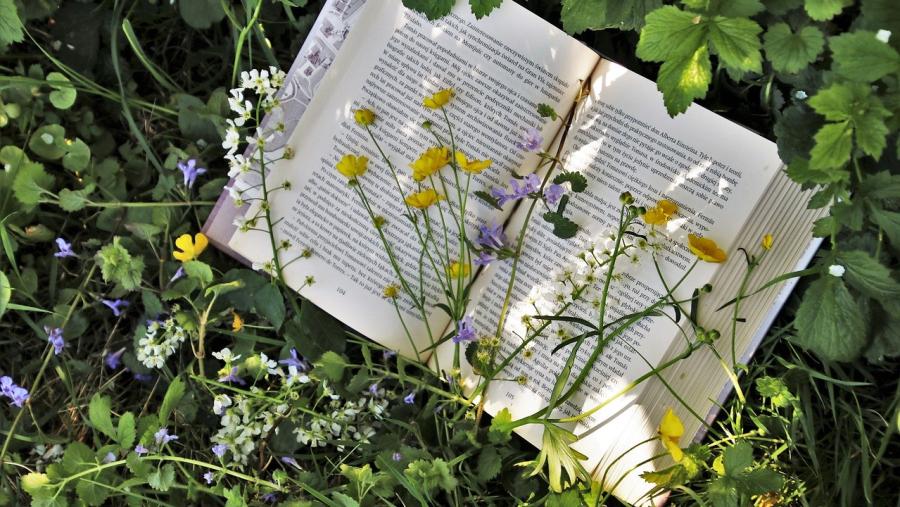 Billede af opslået bog på græsplæne omgivet af blomster