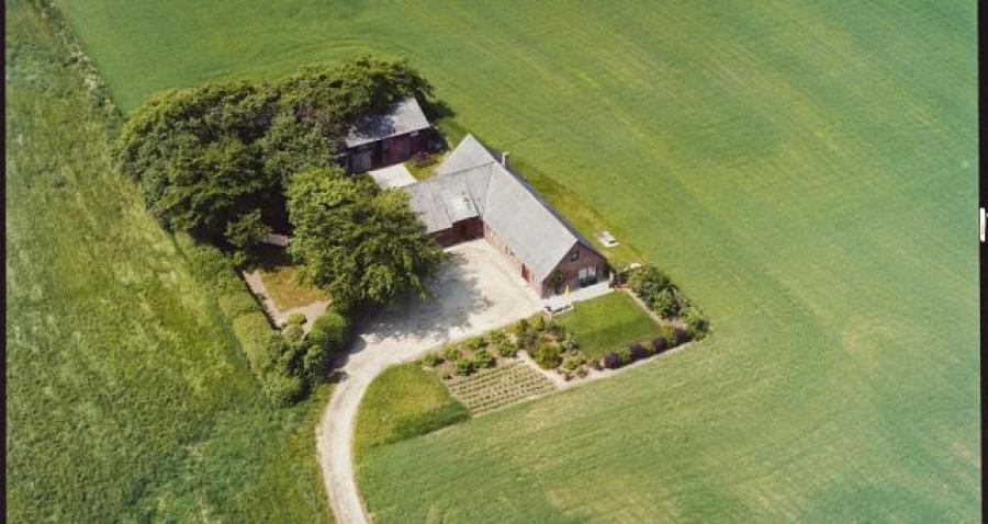 Luftfoto af hus og grønne marker