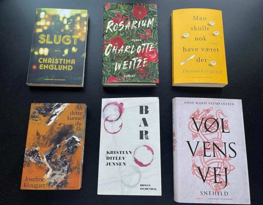 De seks nominerede bøger til DR Romanprisen 2022